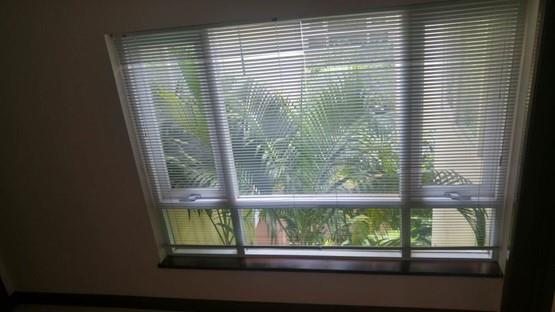 Villa for rent in Thao Dien Ward District 2 HCMC D2200644 (3)